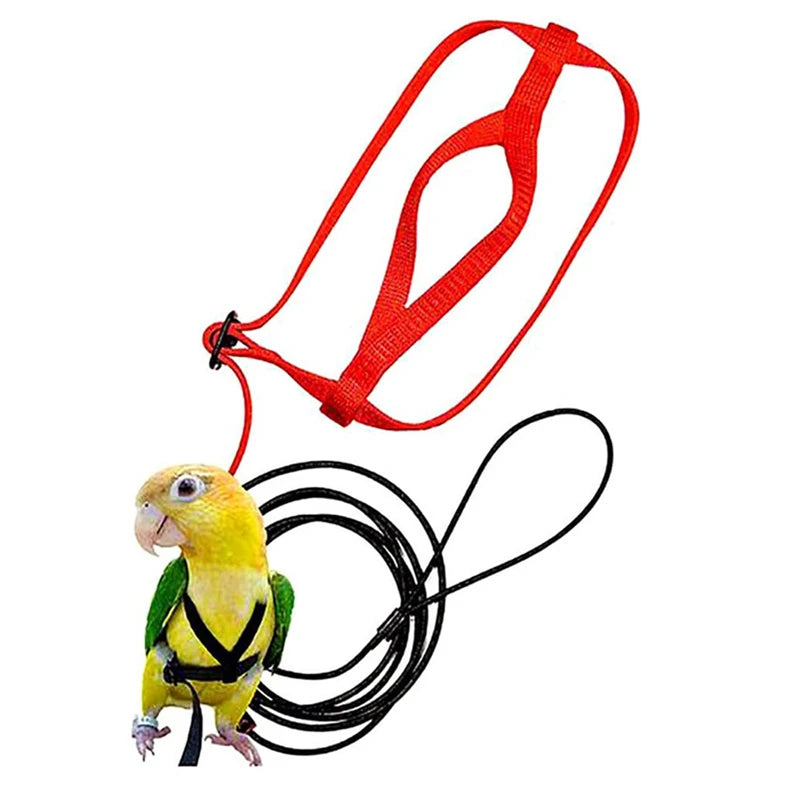 Bird Harness & Leash Set
