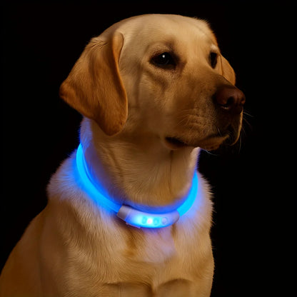 USB Rechargeable LED Dog Collar