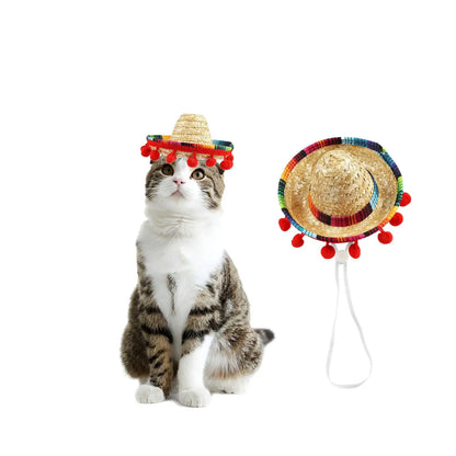 Mexico-Style Pet Sombrero Hat