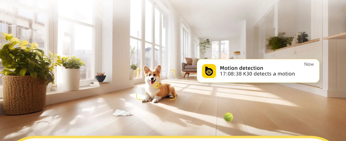 BoyKeep 2-Pack Pet Cam with Night Vision