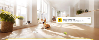 BoyKeep 2-Pack Pet Cam with Night Vision