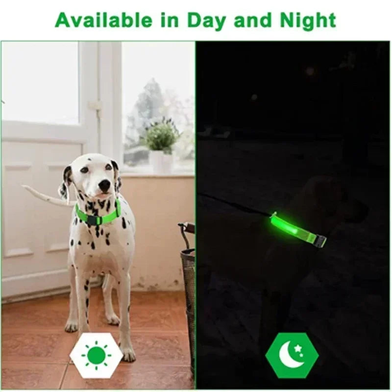LED Rechargeable Dog Collar for Night Walks