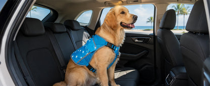 Pet Cooling Vest for Dogs