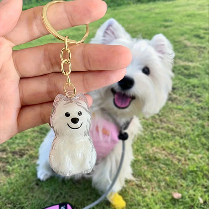 Pet Hair Memorial Keepsake Keychain