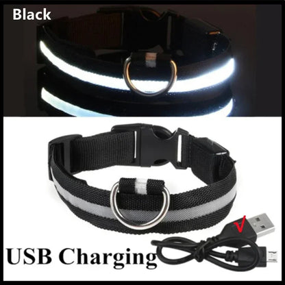 LED Rechargeable Dog Collar for Night Walks