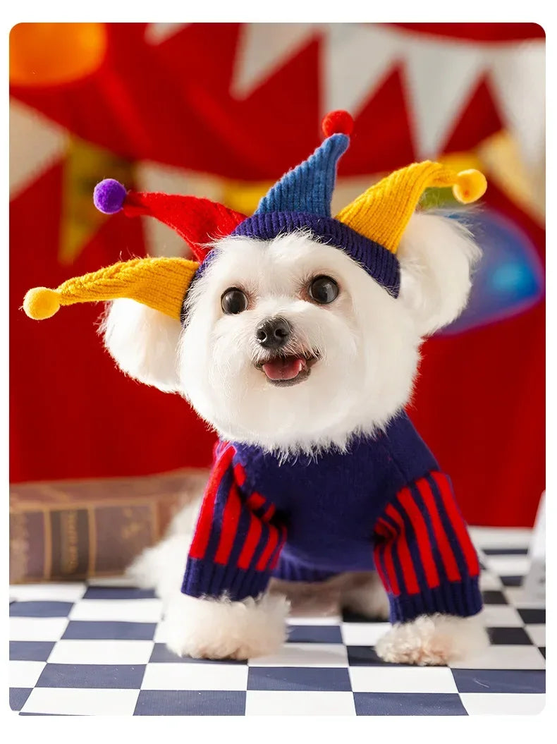Jester Pet Sweater Costume