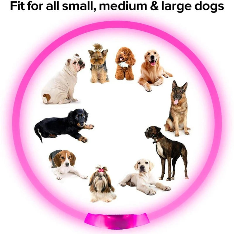 Rechargeable LED Dog Safety Collar for Night Walks