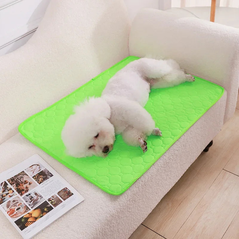 Washable and Waterproof Dog Pee Pad