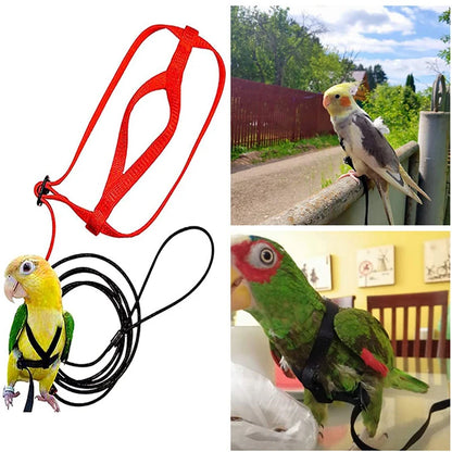 Bird Harness & Leash Set