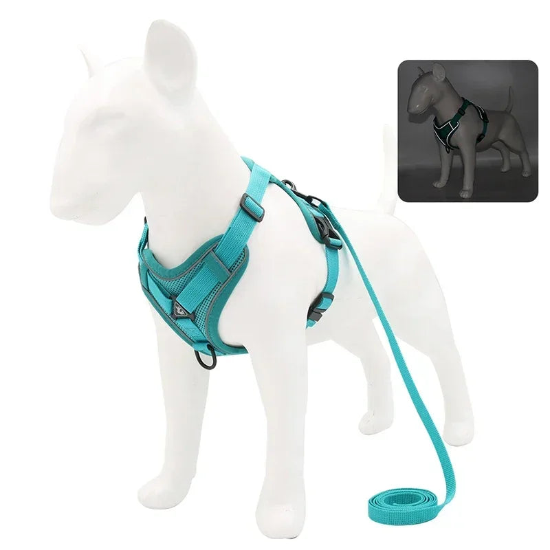 Reflective No-Pull Harness & Leash