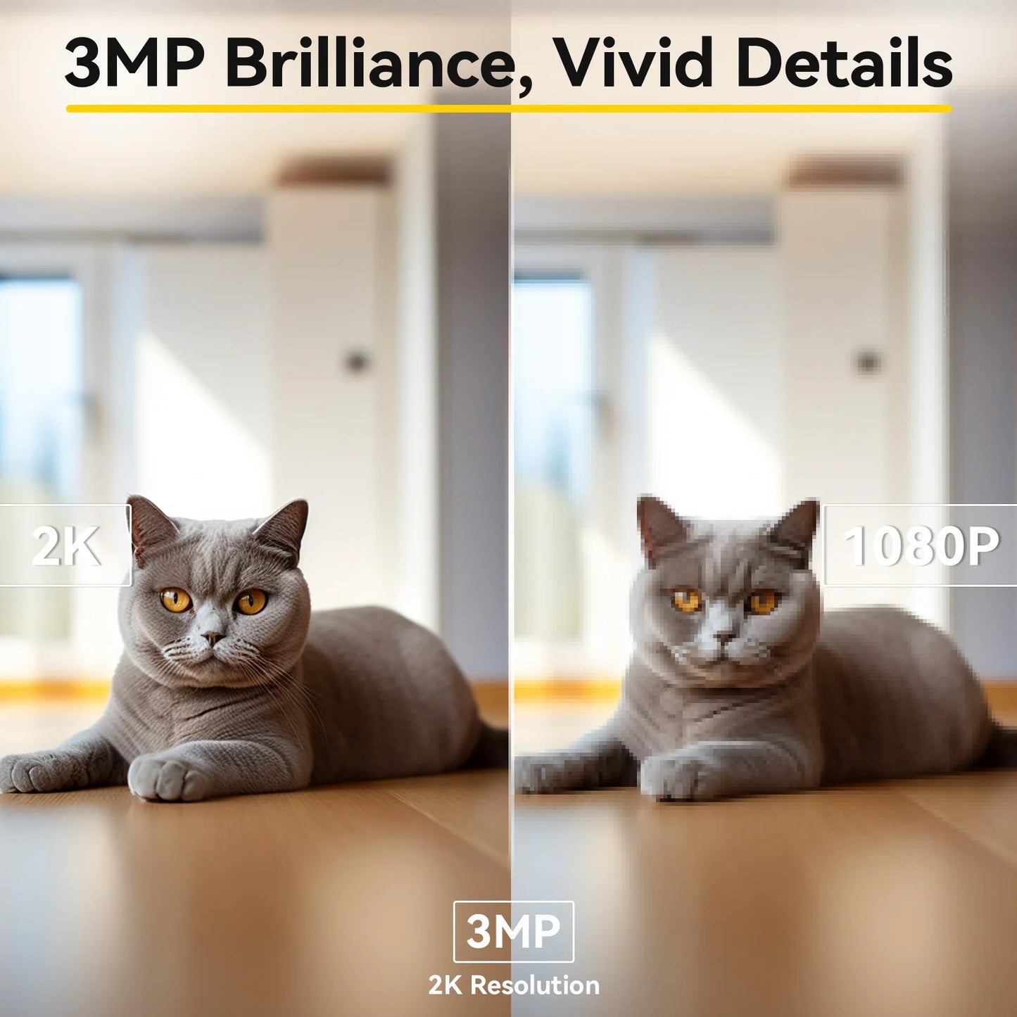 BoyKeep 2-Pack Pet Cam with Night Vision