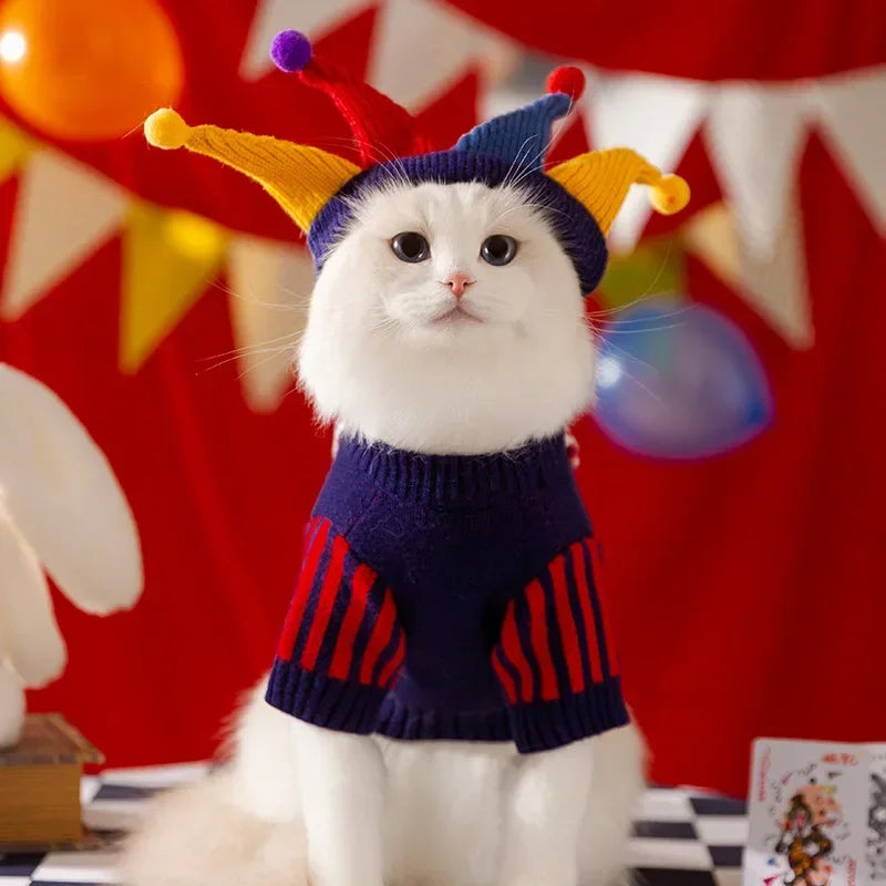 Jester Pet Sweater Costume